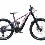 ROWER GIANT REIGN E+1 2023 800WH M