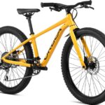 ROWER ORBEA MX24 TEAM DISC